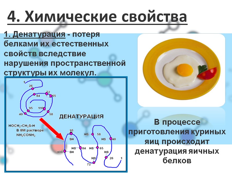4. Химические свойства В процессе приготовления куриных яиц происходит денатурация яичных белков 1. Денатурация